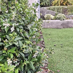 Holiday home Moradia Stephanie, Funchal (Madeira)